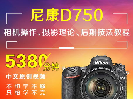 尼康D750相机操作、摄影理论、后期技法教程